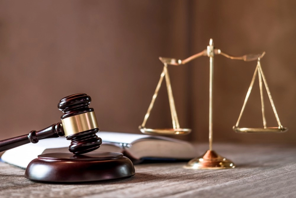 Immigration Law